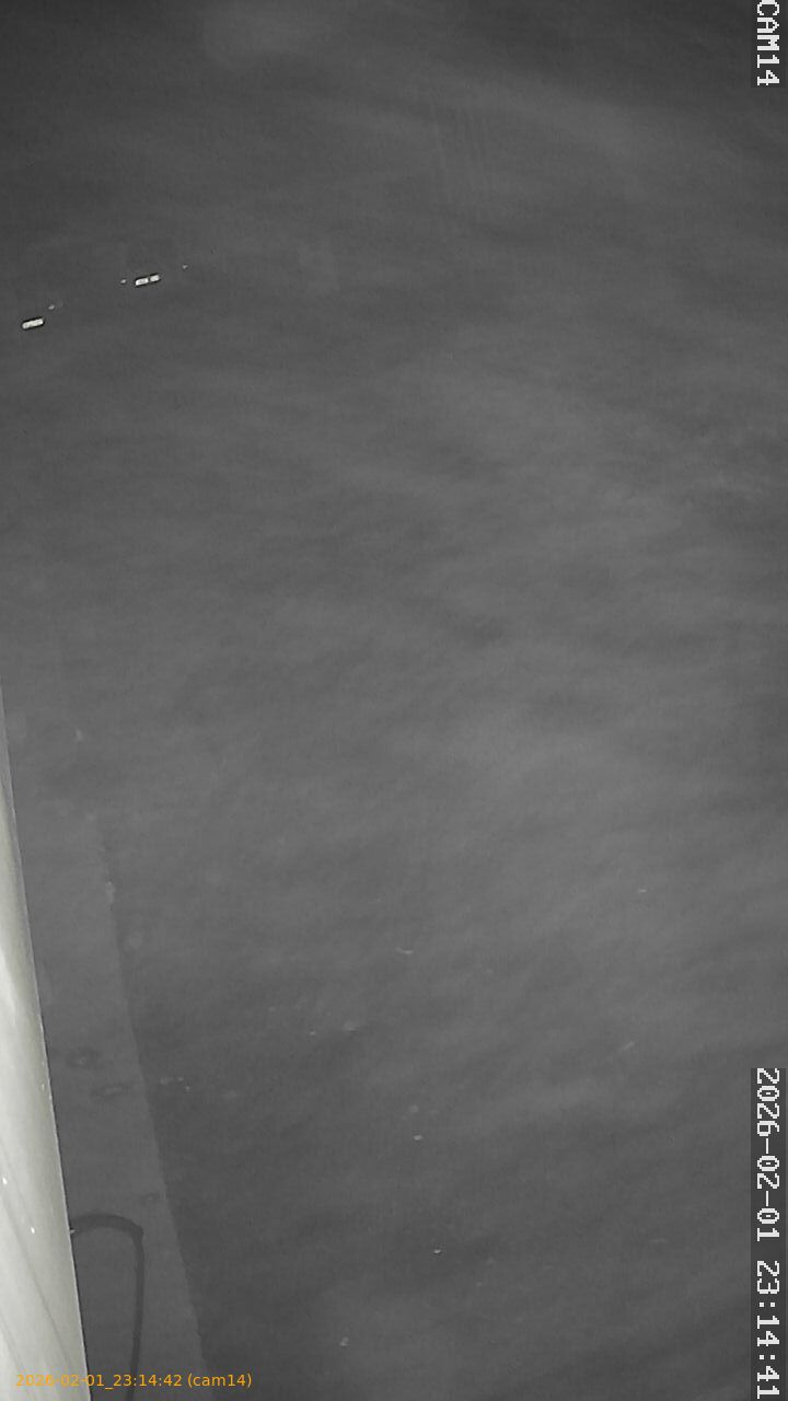 thumbnail_20260201231442