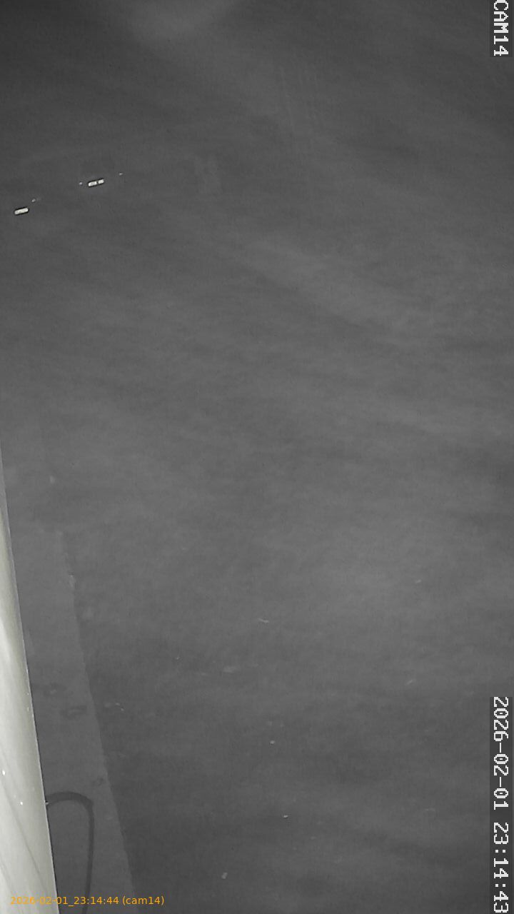 thumbnail_20260201231444