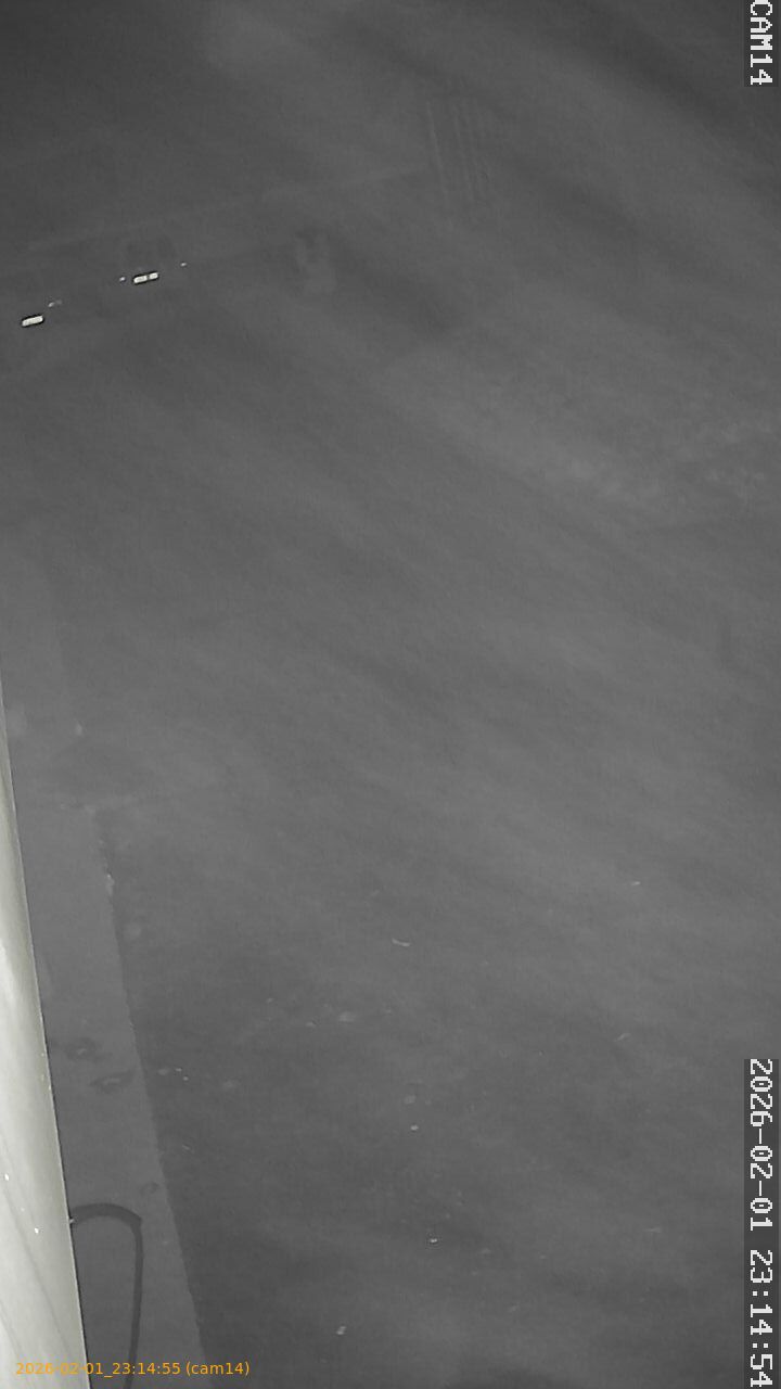 thumbnail_20260201231455