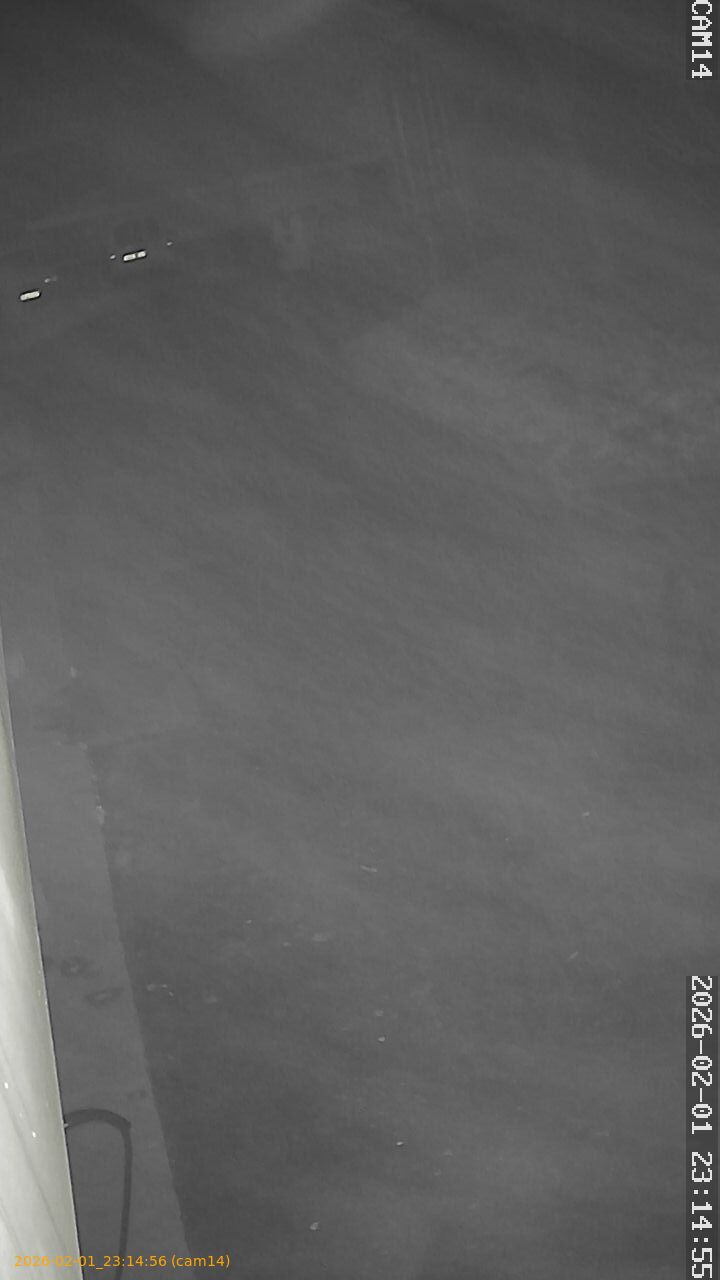 thumbnail_20260201231456