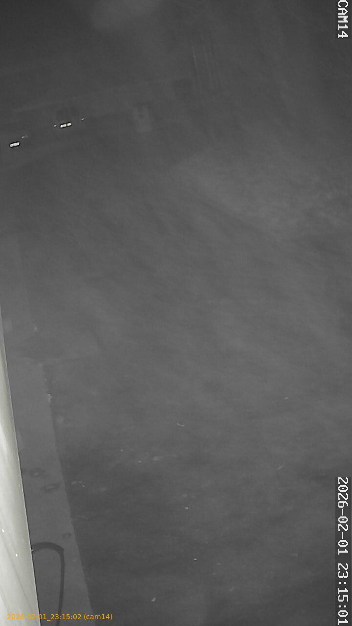 thumbnail_20260201231502