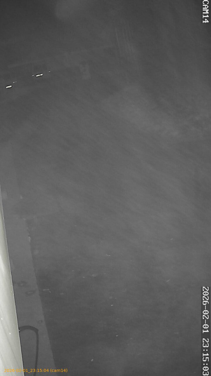 thumbnail_20260201231504