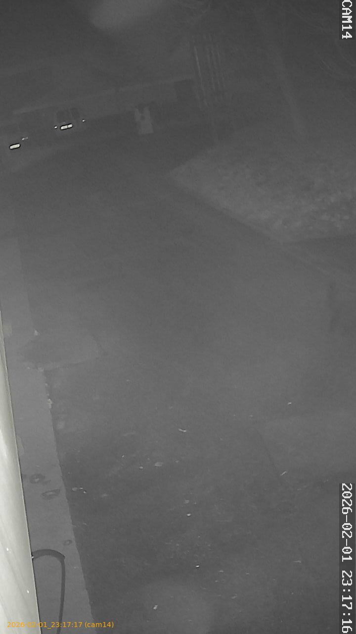 thumbnail_20260201231717