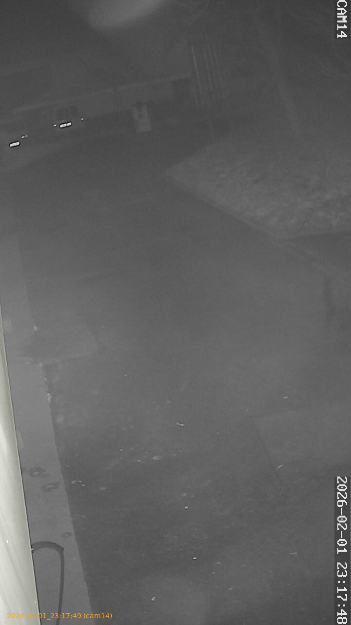 thumbnail_20260201231749