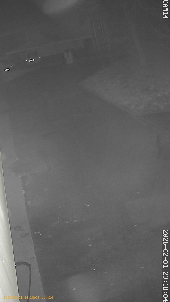 thumbnail_20260201231805