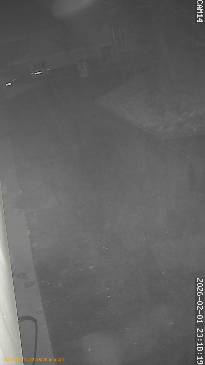 thumbnail_20260201231820