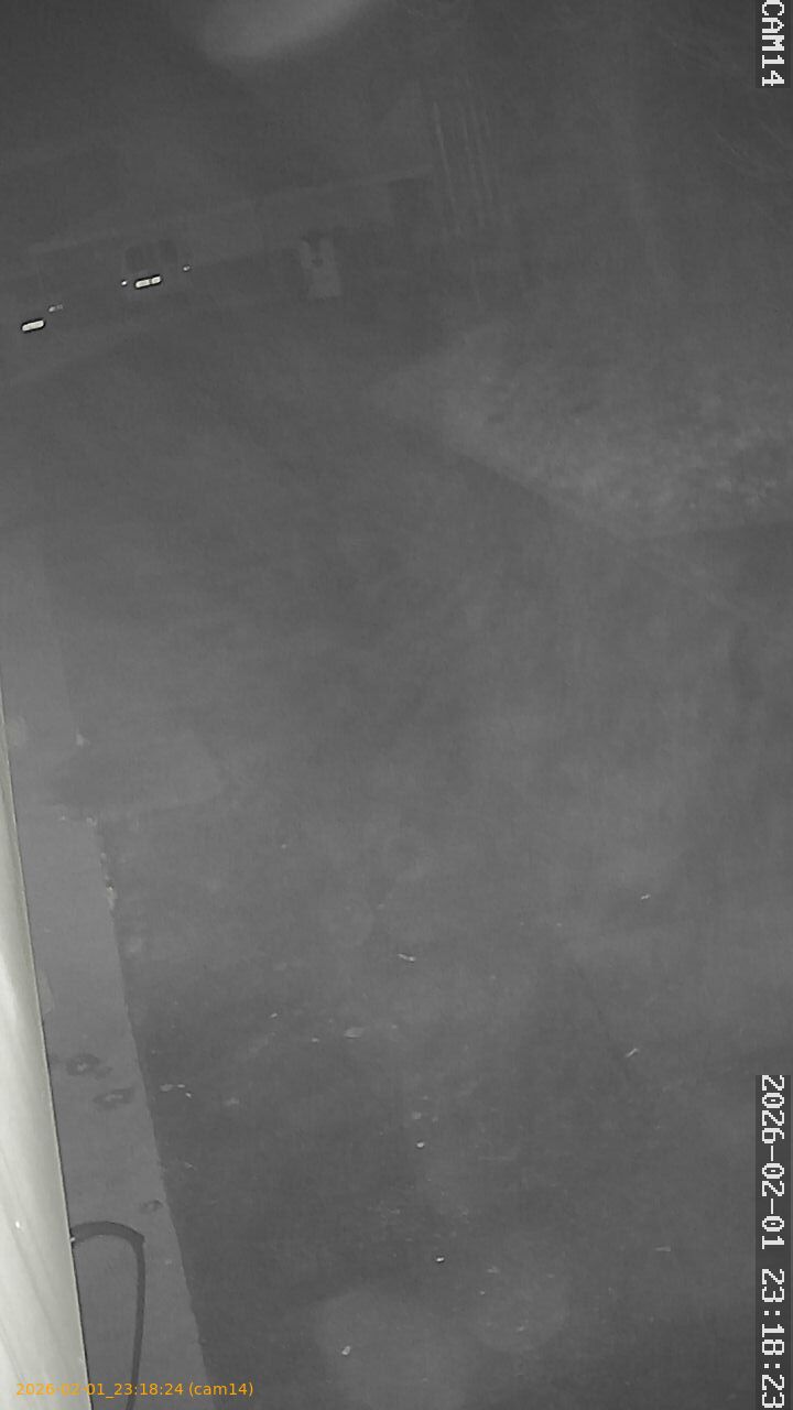 thumbnail_20260201231824