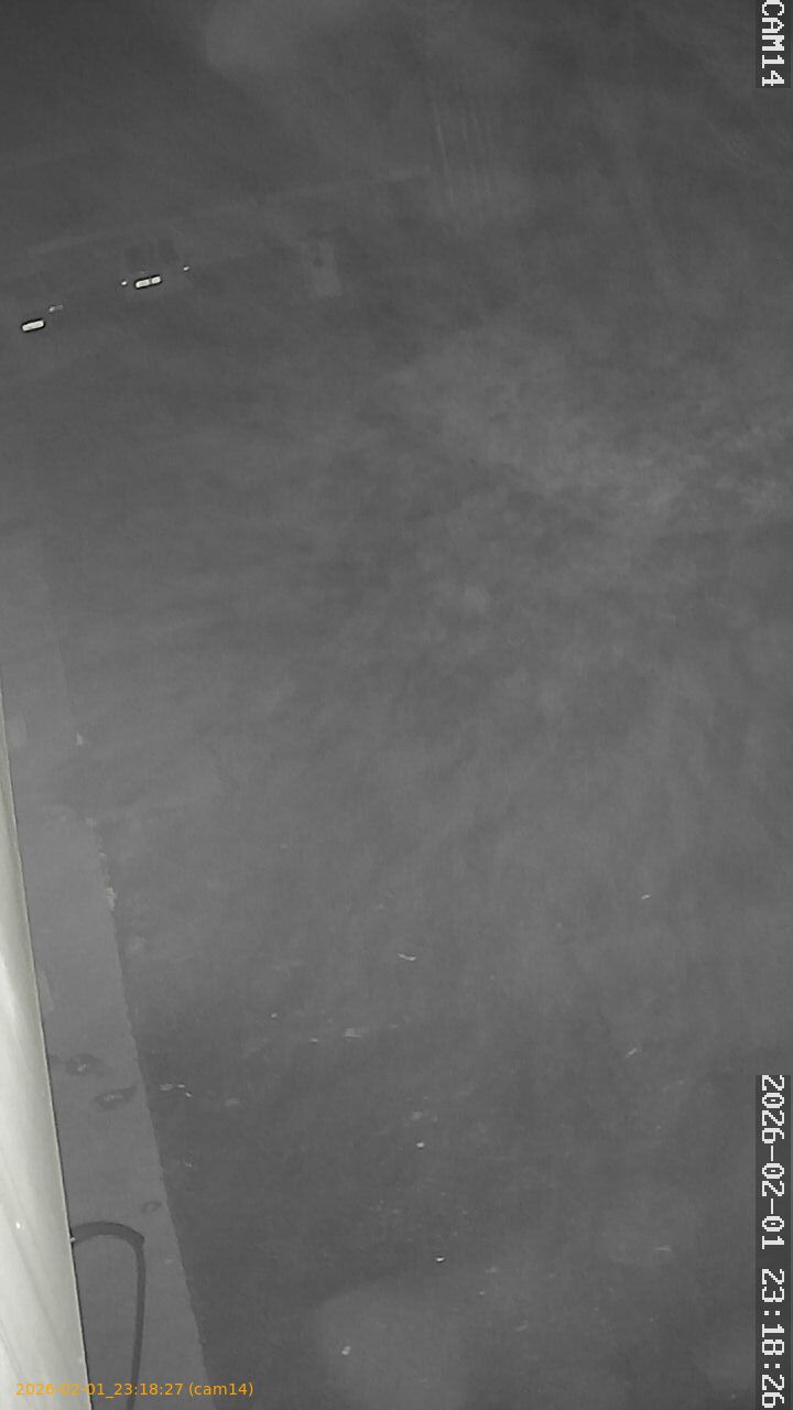 thumbnail_20260201231827