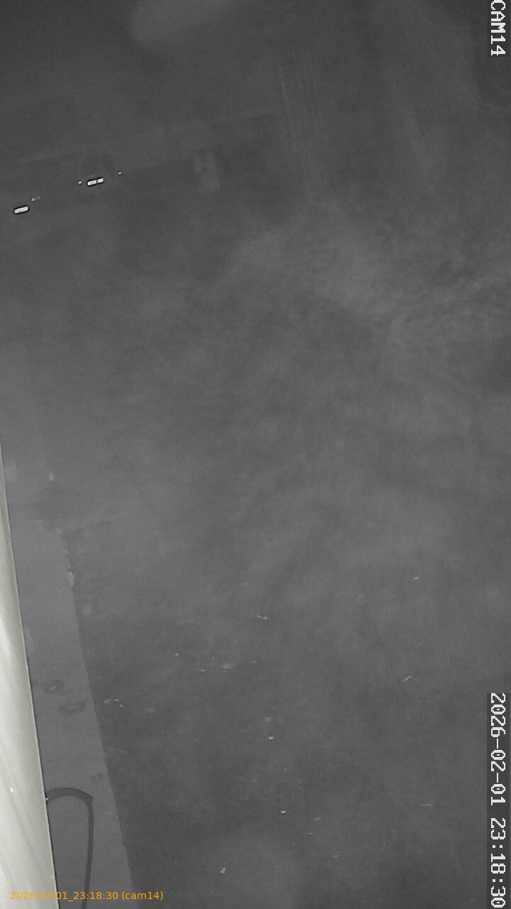 thumbnail_20260201231830