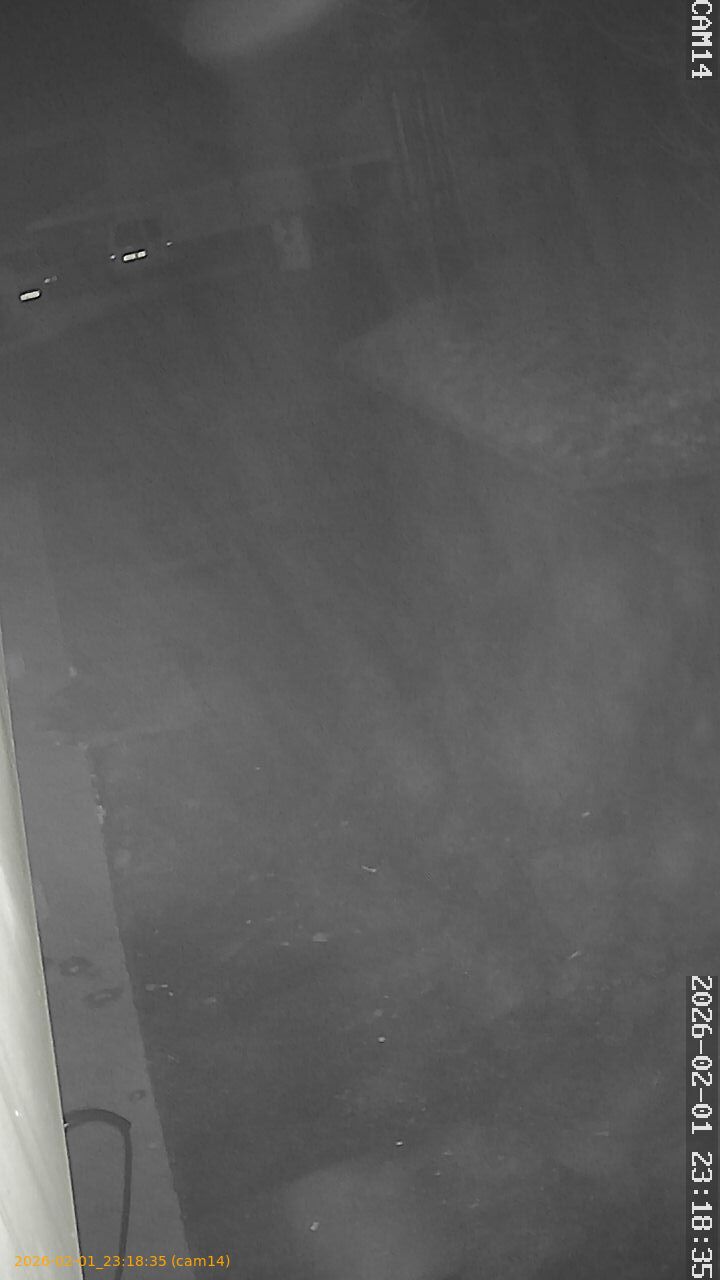 thumbnail_20260201231835