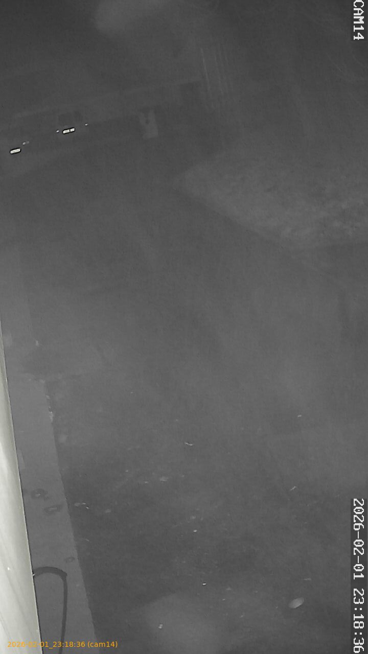 thumbnail_20260201231836