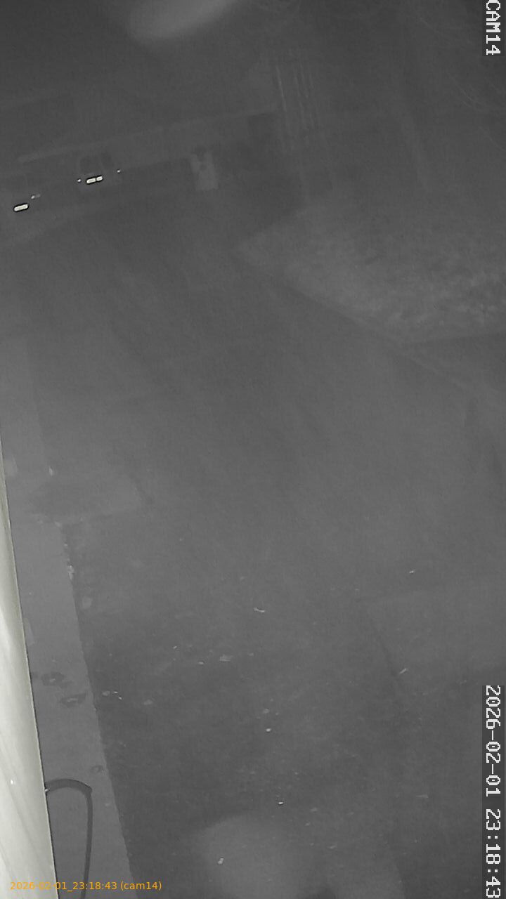 thumbnail_20260201231843