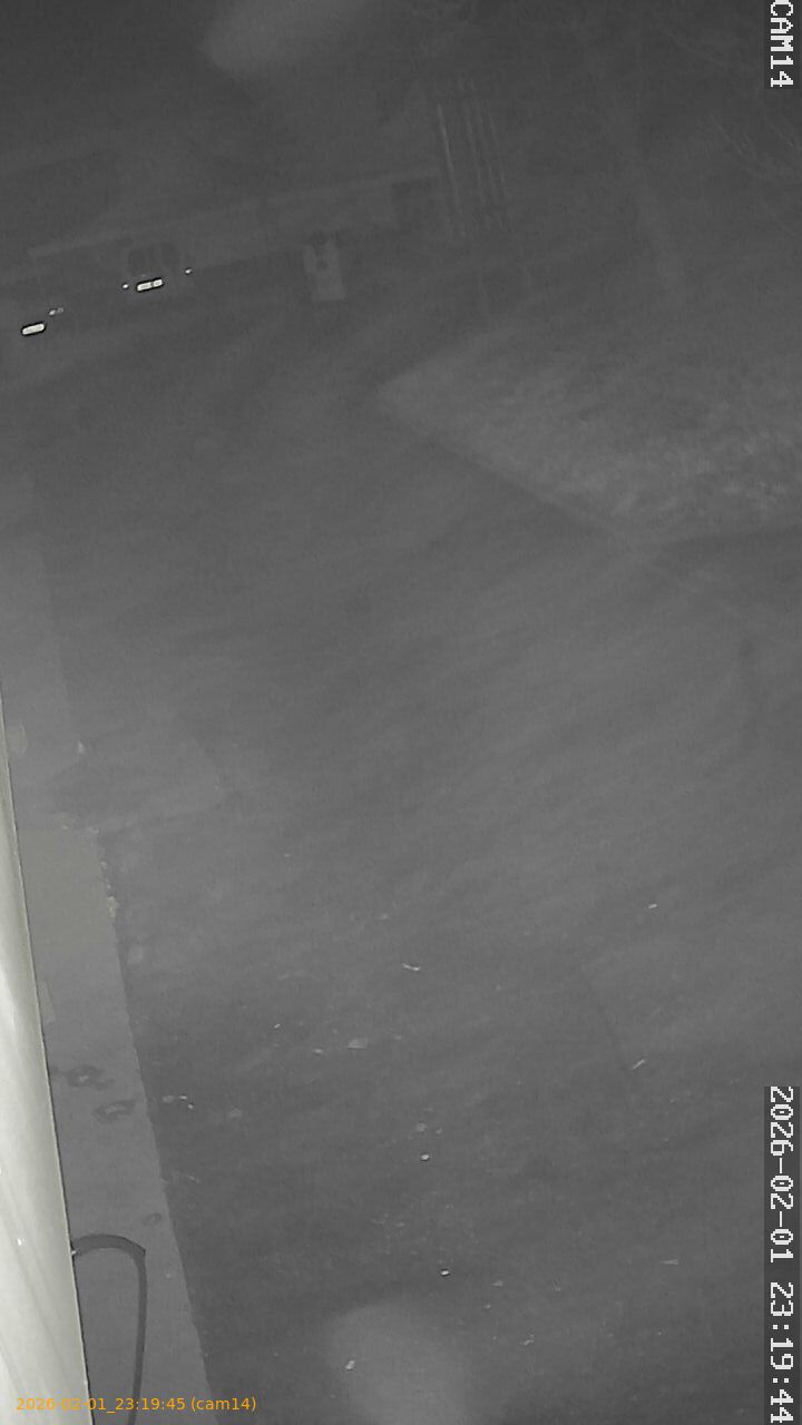 thumbnail_20260201231945