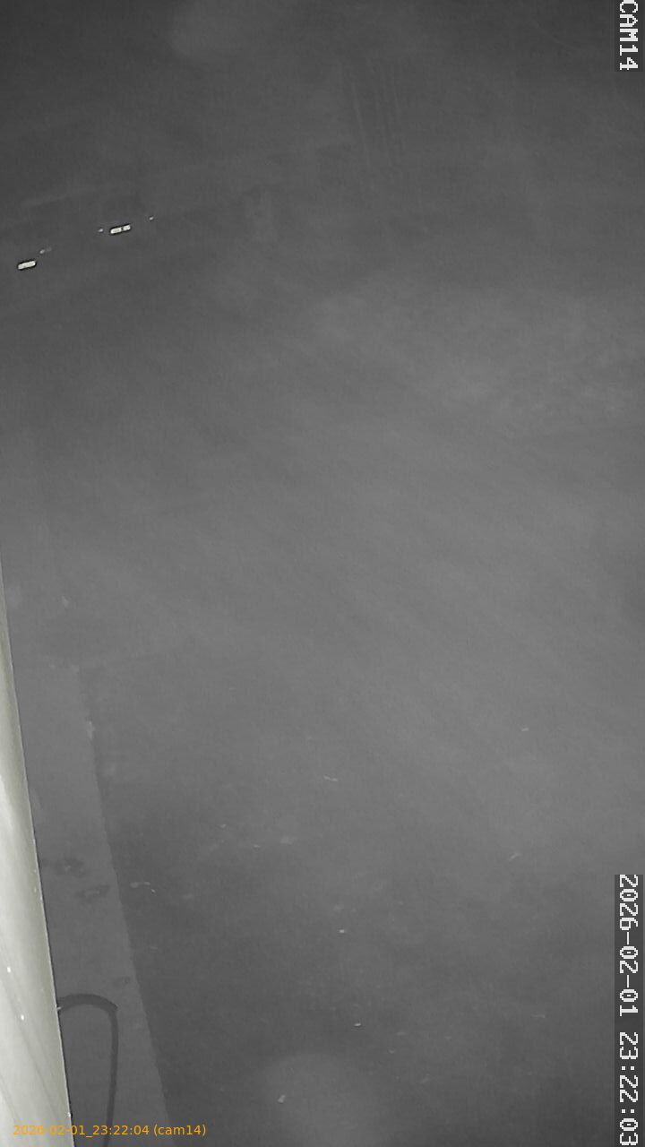 thumbnail_20260201232204