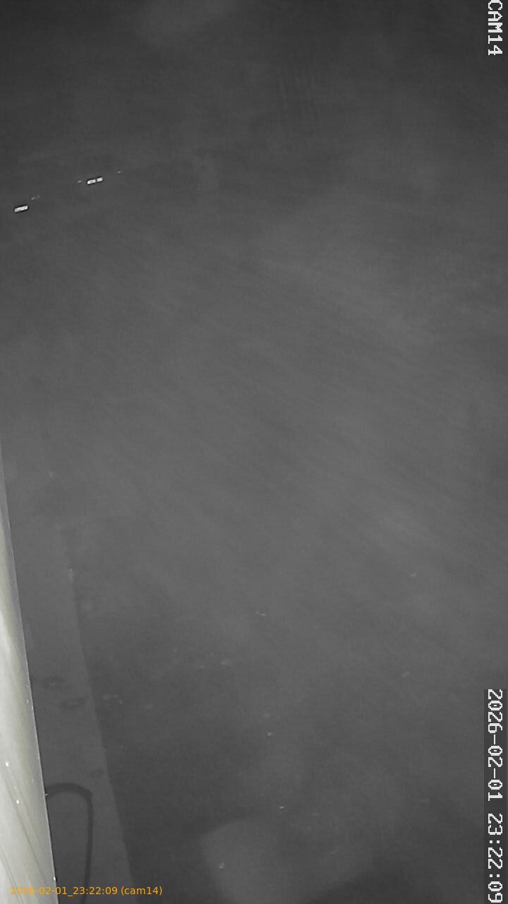 thumbnail_20260201232209