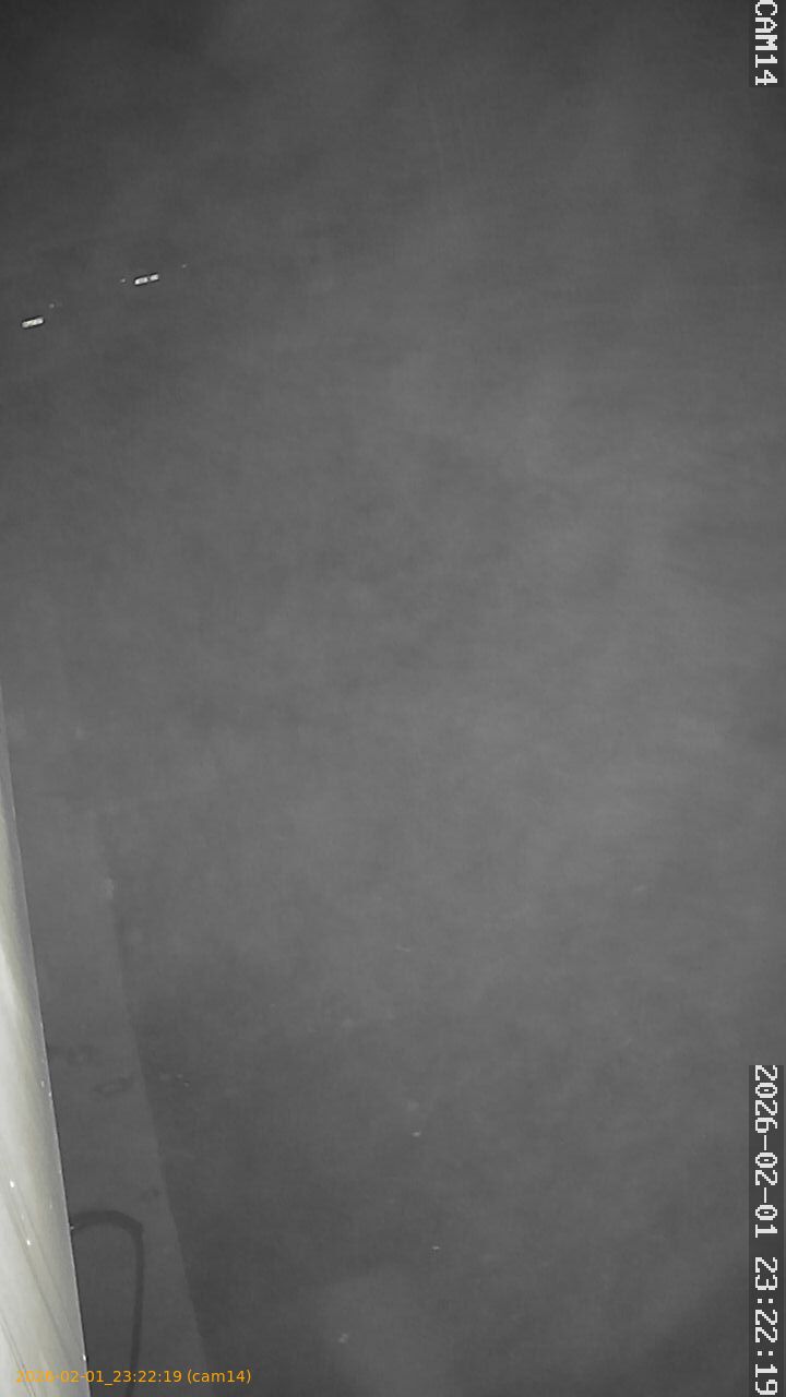 thumbnail_20260201232219