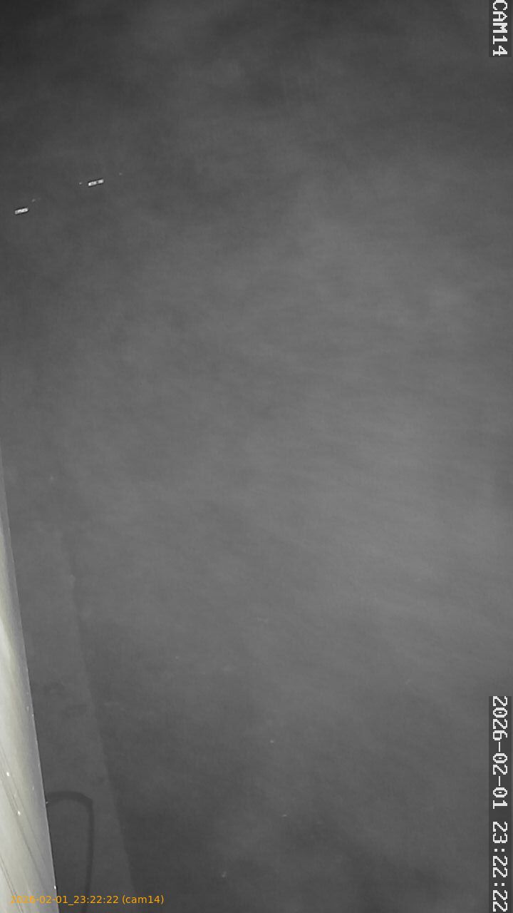 thumbnail_20260201232222