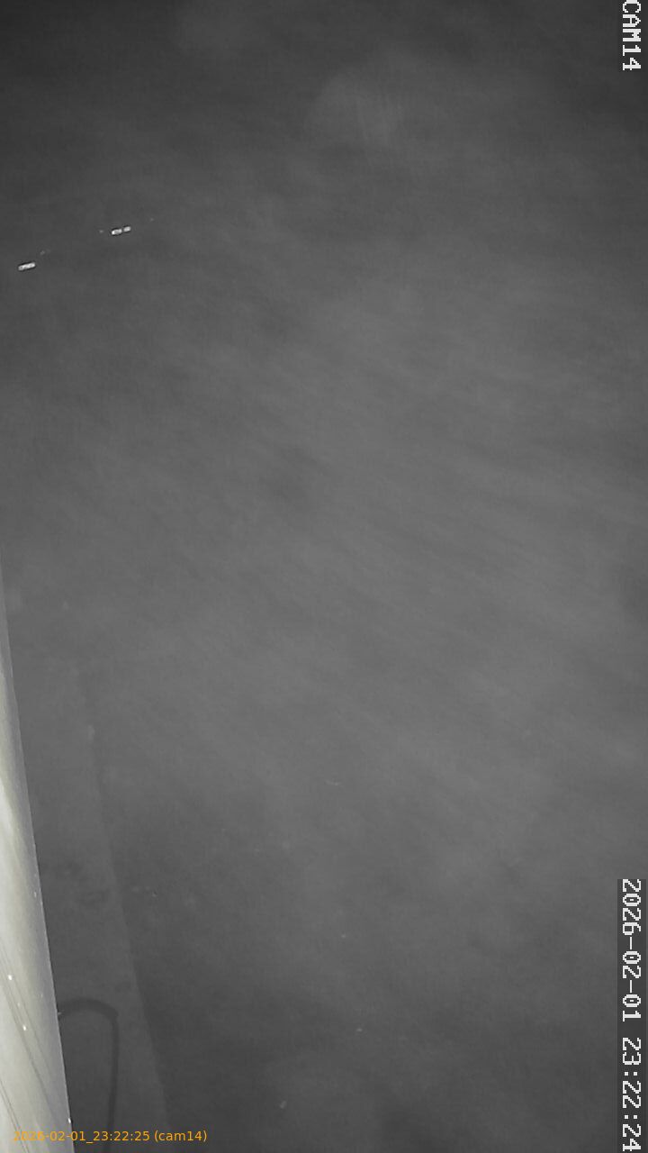 thumbnail_20260201232224