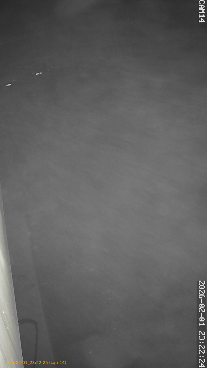 thumbnail_20260201232225