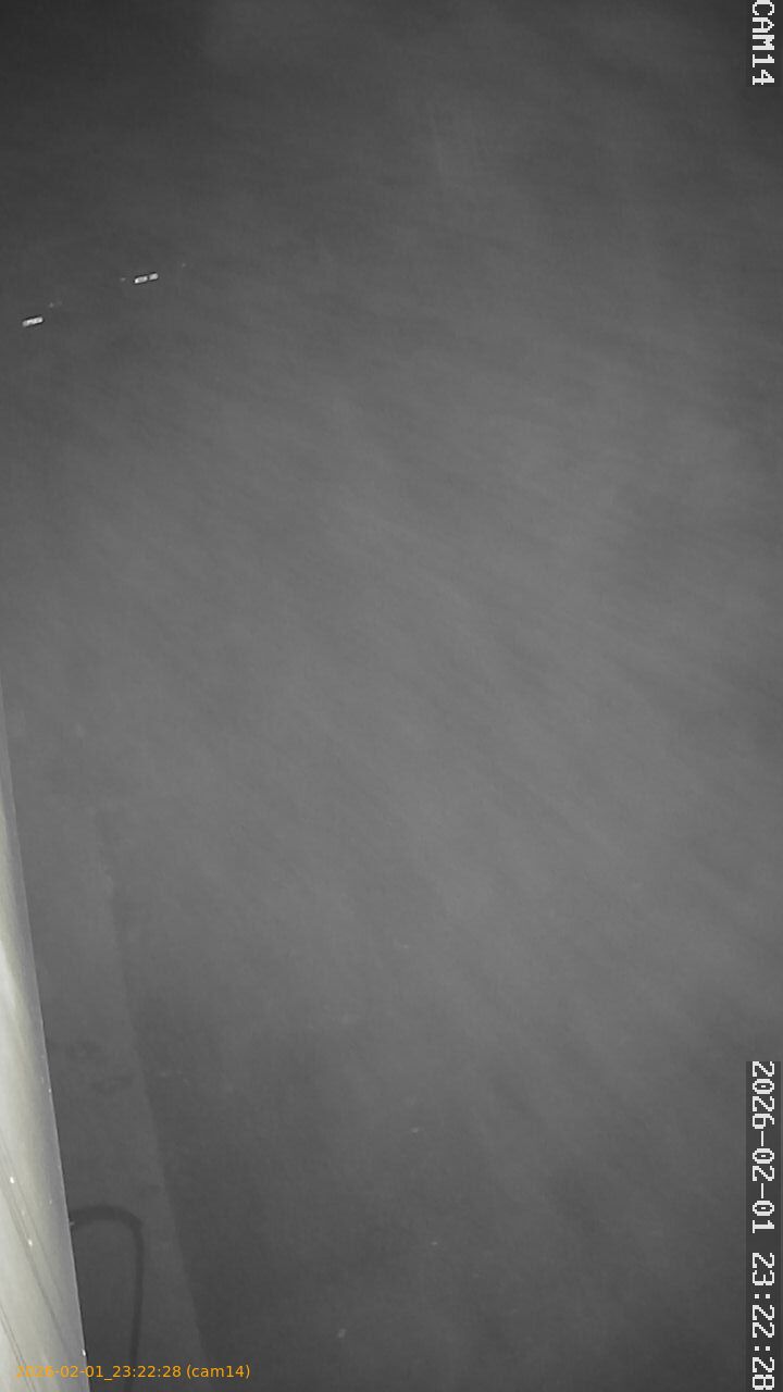 thumbnail_20260201232228