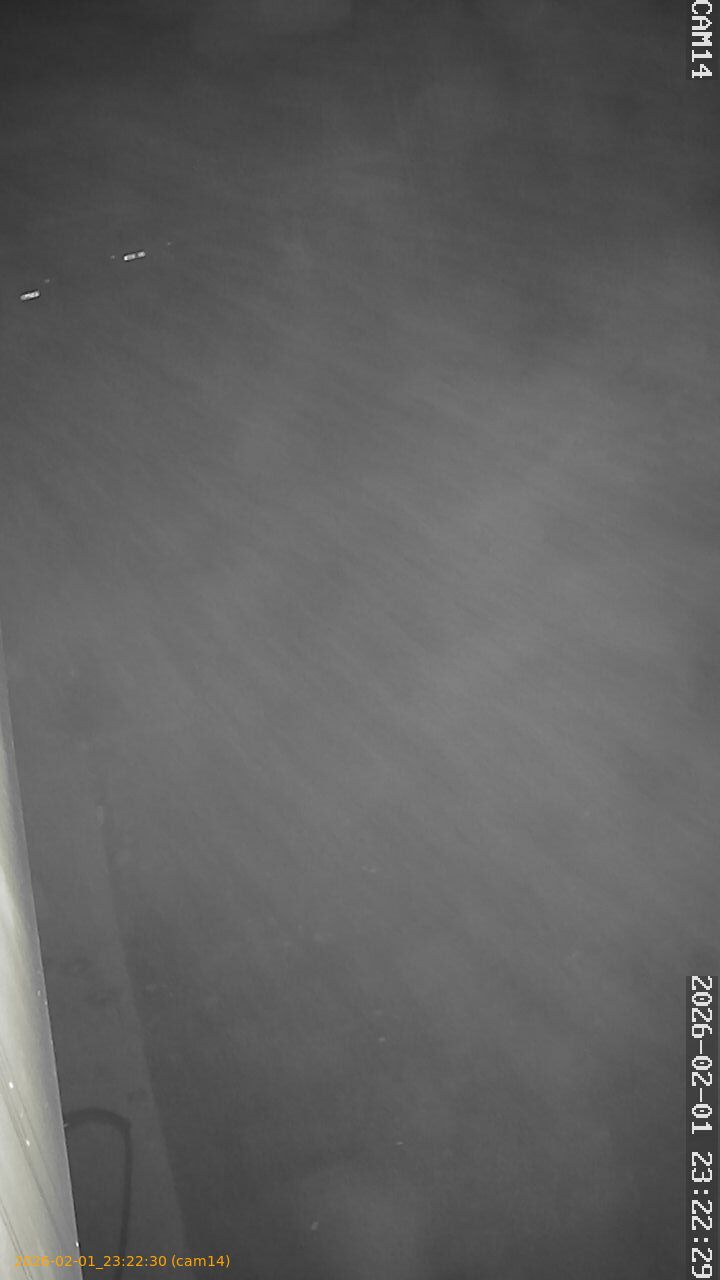 thumbnail_20260201232229