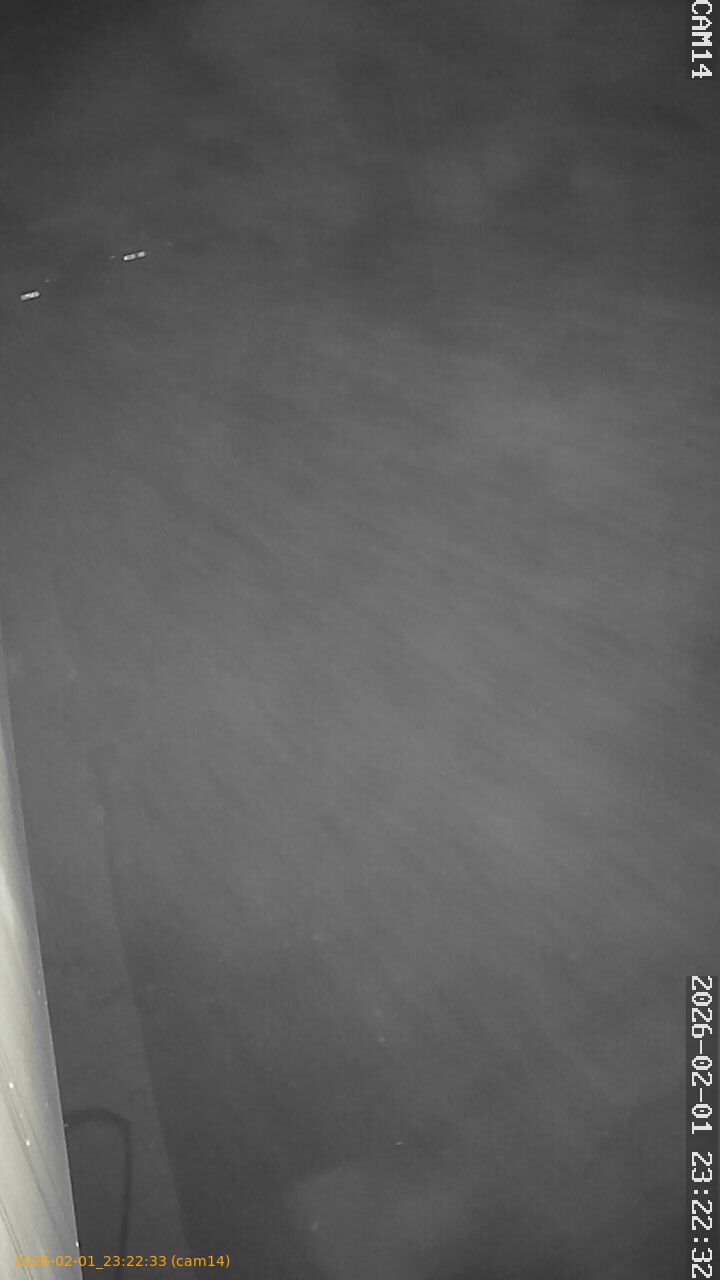 thumbnail_20260201232232