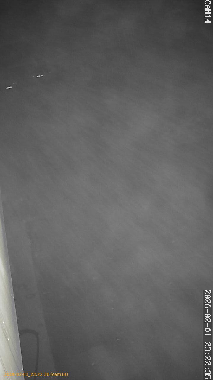 thumbnail_20260201232235