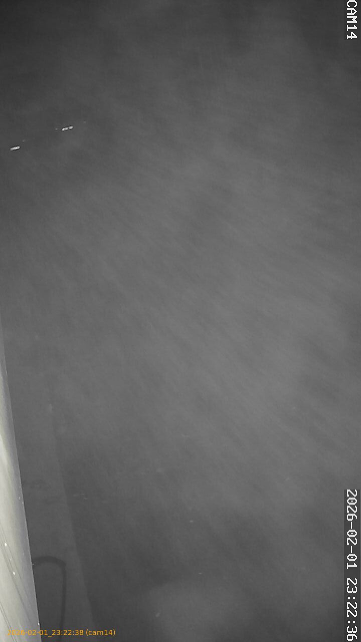 thumbnail_20260201232237