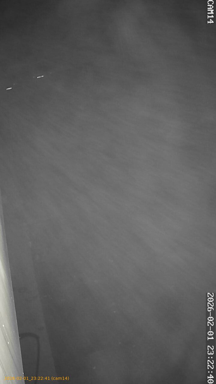 thumbnail_20260201232241