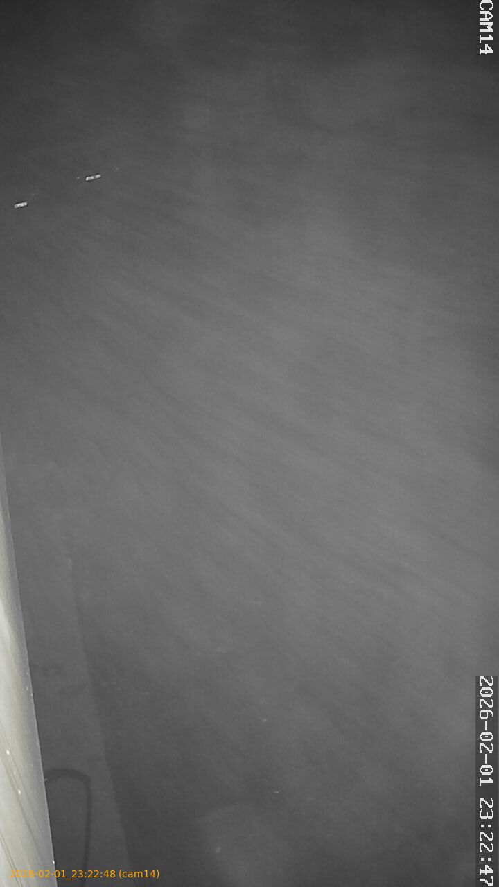 thumbnail_20260201232248