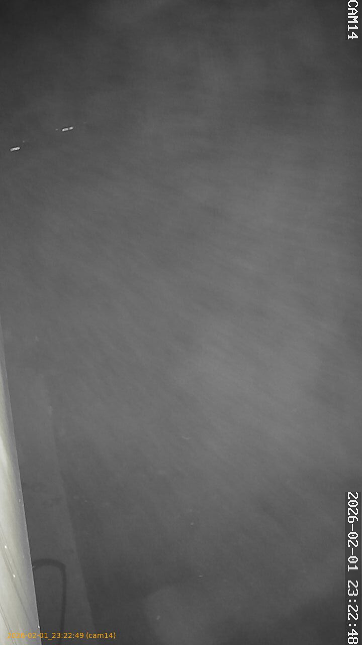 thumbnail_20260201232249