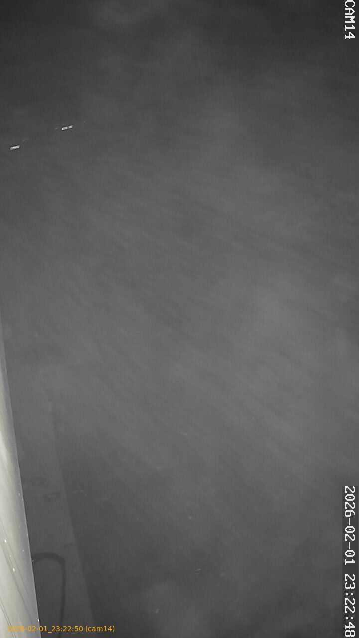 thumbnail_20260201232250