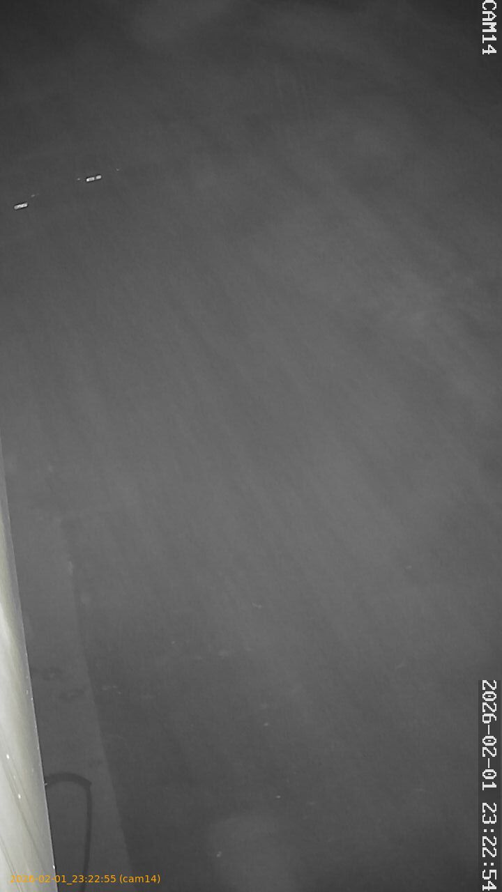 thumbnail_20260201232255