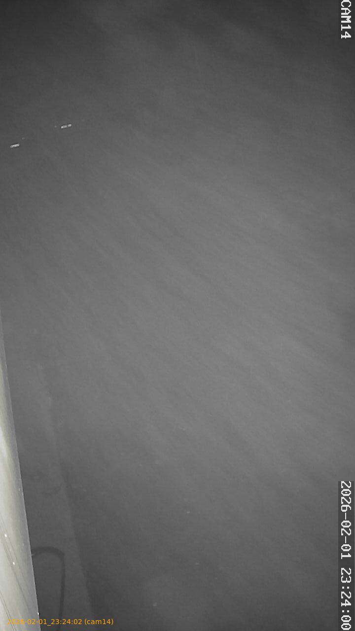 thumbnail_20260201232401