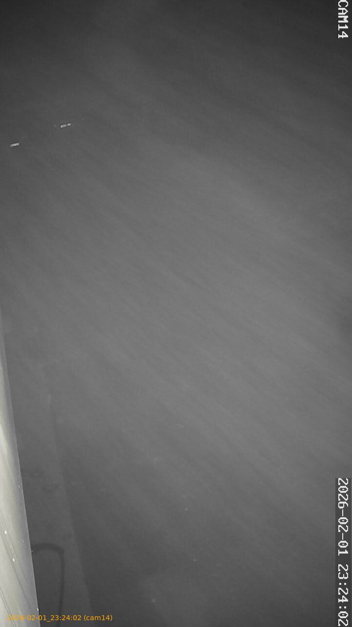 thumbnail_20260201232402