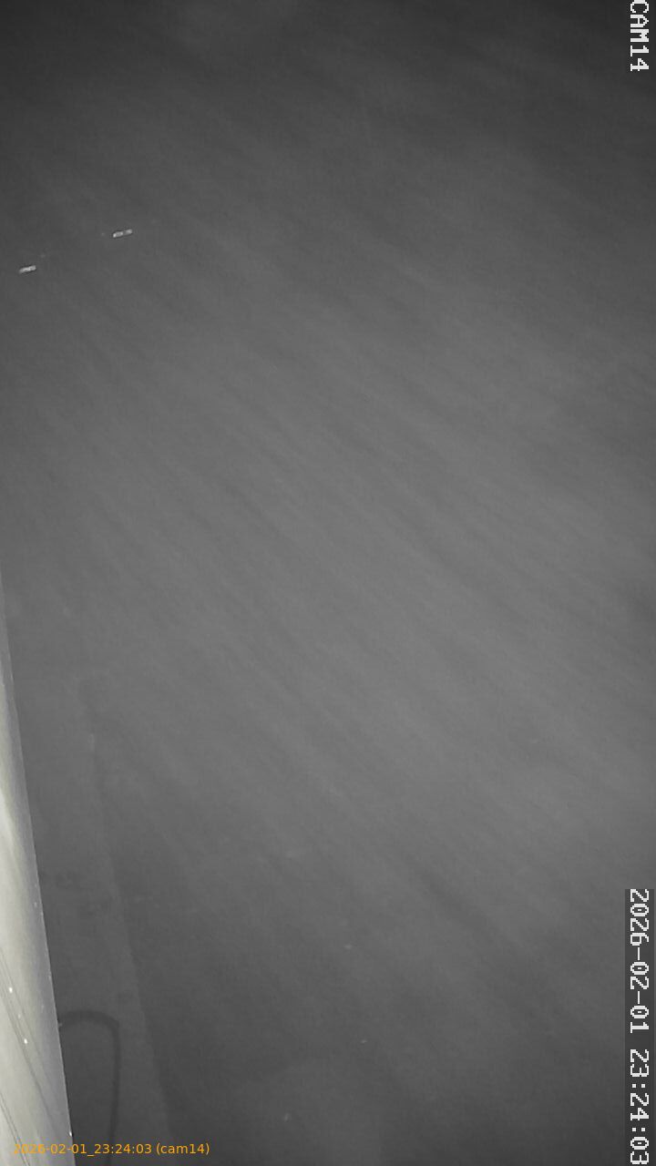 thumbnail_20260201232403