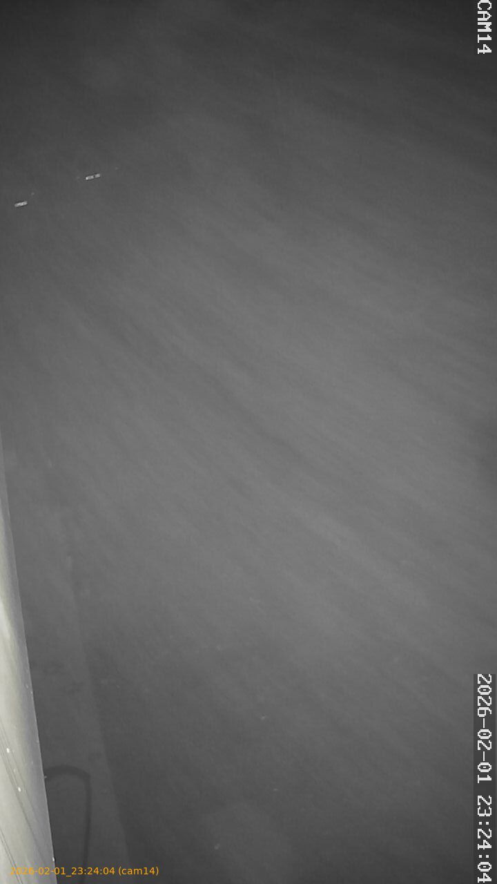 thumbnail_20260201232404