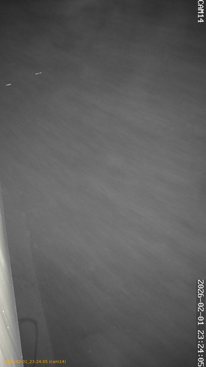 thumbnail_20260201232405