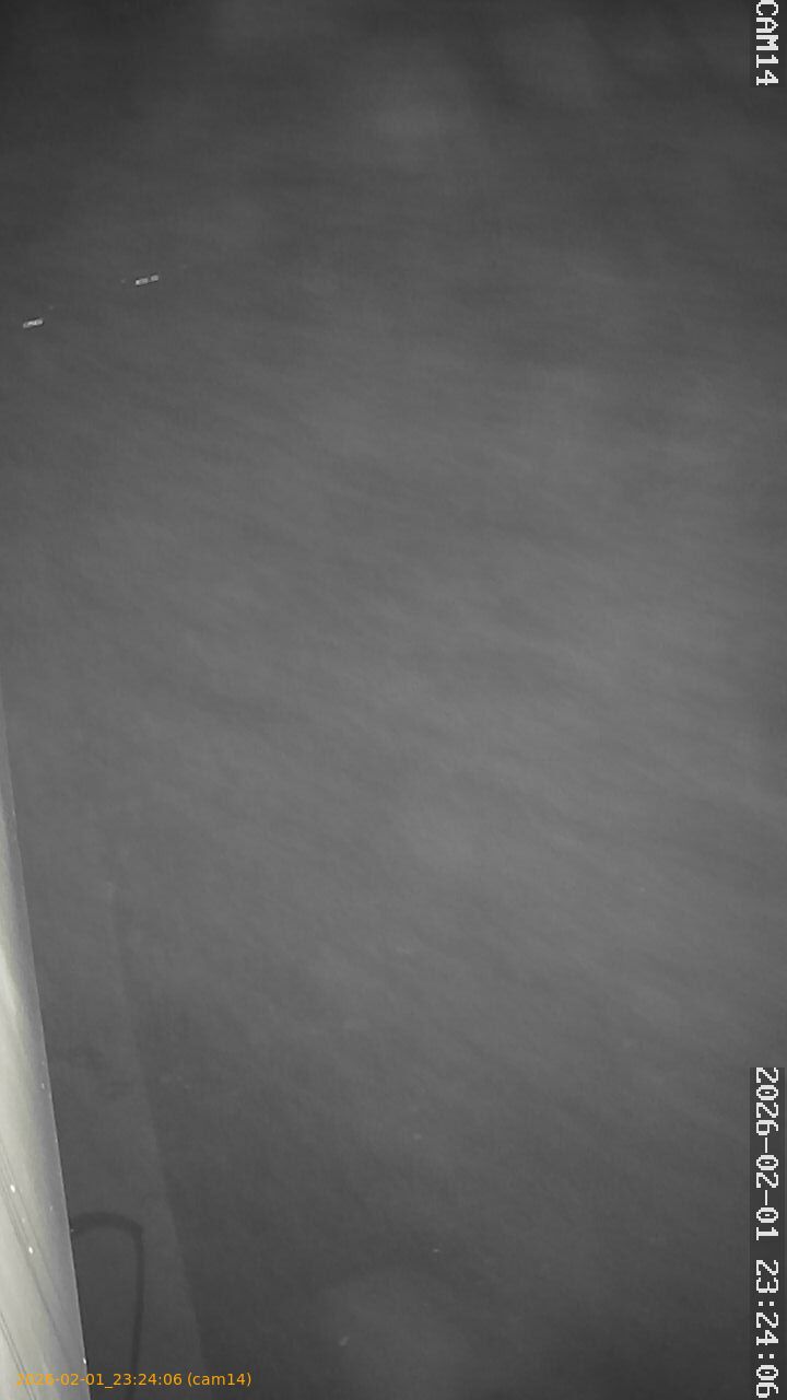 thumbnail_20260201232406