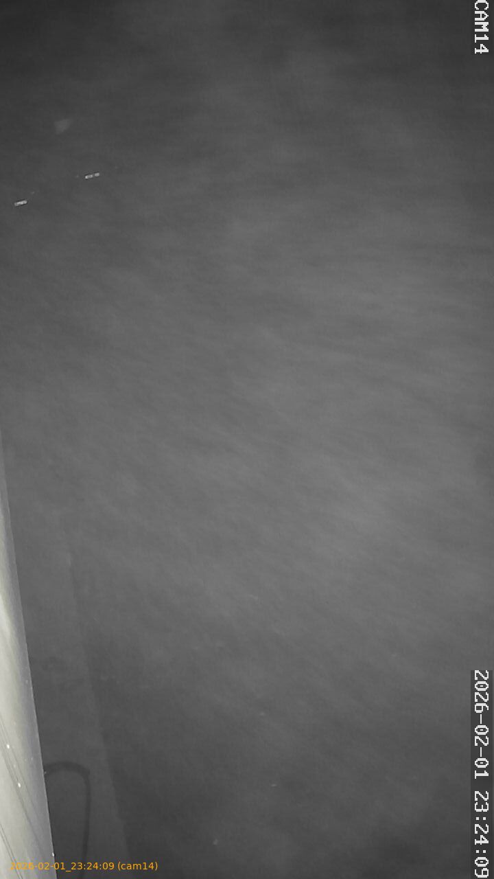 thumbnail_20260201232409