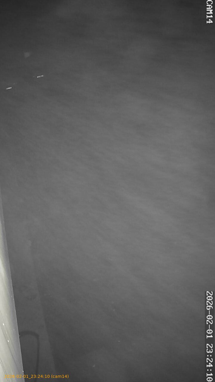 thumbnail_20260201232410