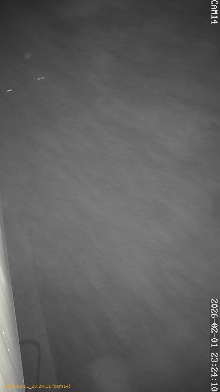 thumbnail_20260201232411