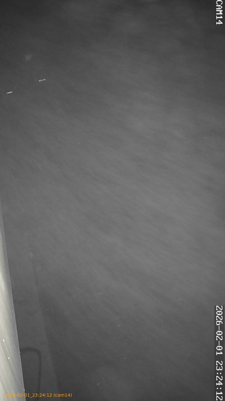 thumbnail_20260201232412