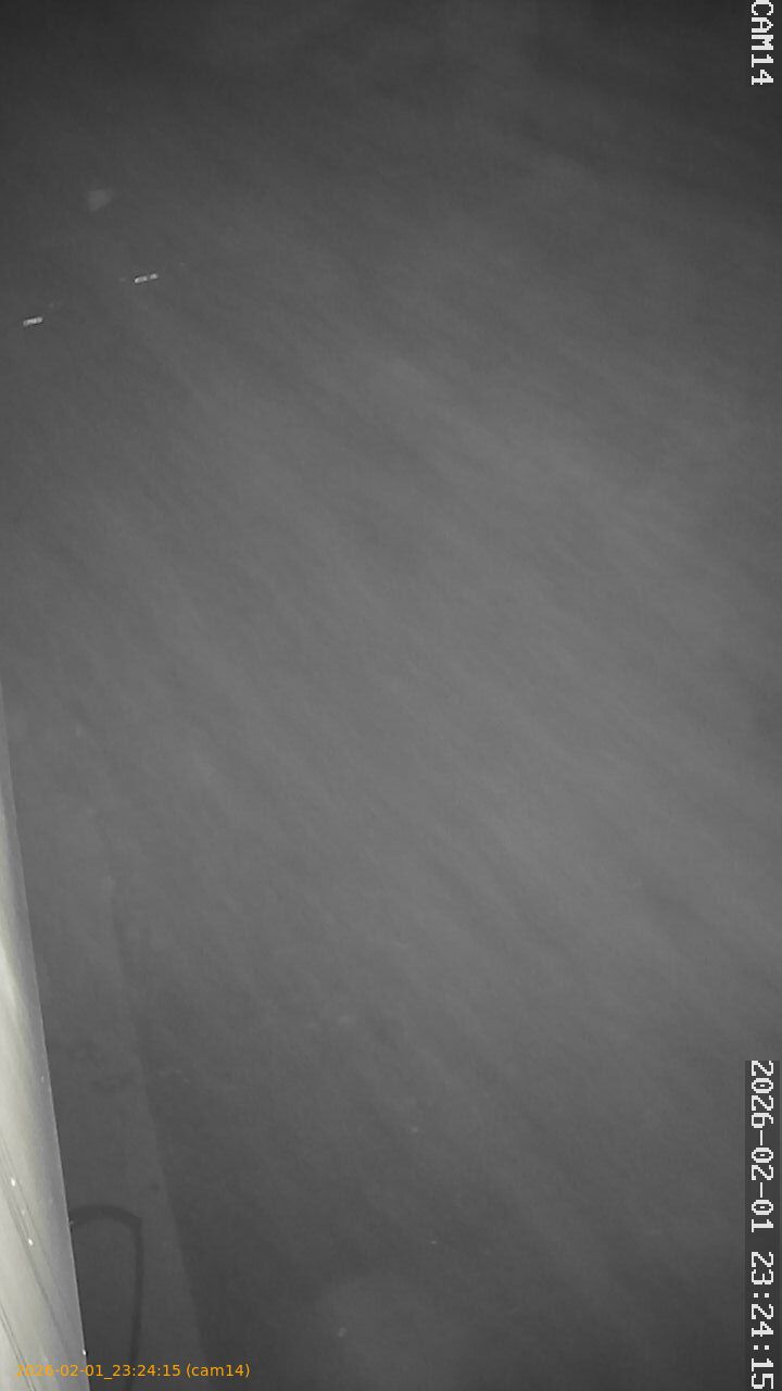 thumbnail_20260201232415