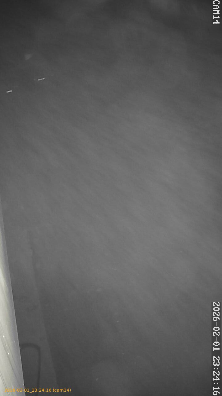 thumbnail_20260201232416