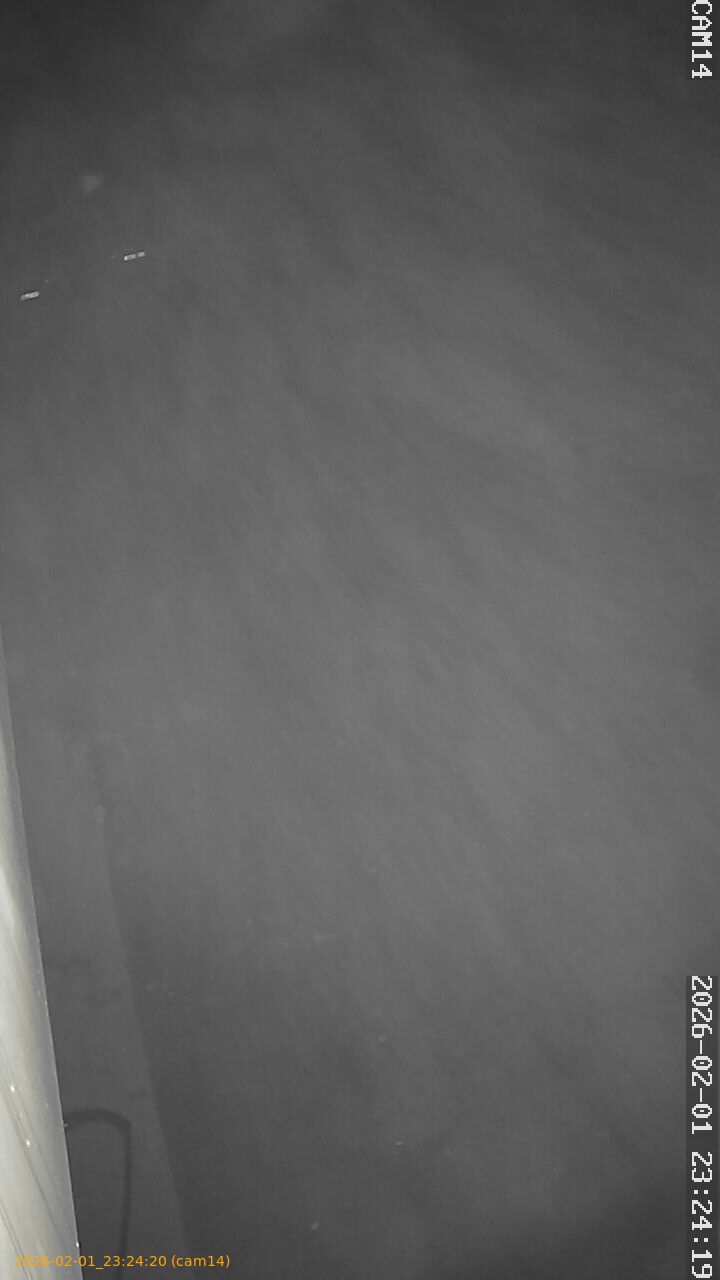 thumbnail_20260201232419