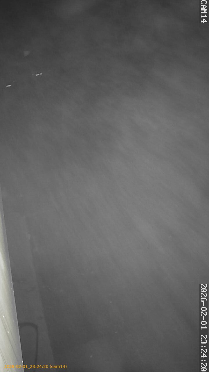 thumbnail_20260201232420