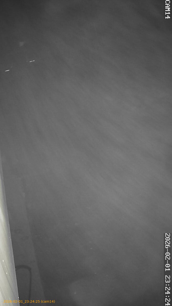 thumbnail_20260201232425