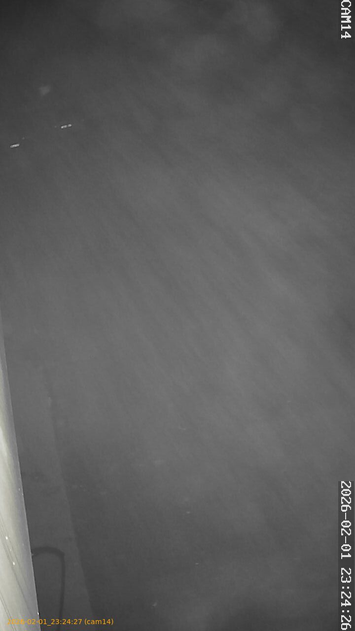 thumbnail_20260201232427