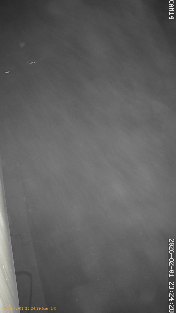 thumbnail_20260201232429